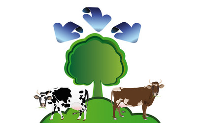 Similar image 8455880