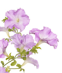 Similar image 8455892