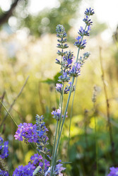 Similar image 8455905