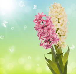 Similar image 8455943