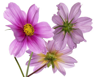 Similar image 8455957