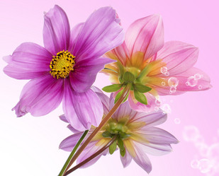 Similar image 8455960