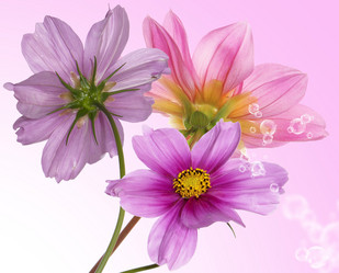 Similar image 8455963