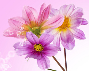 Similar image 8455964