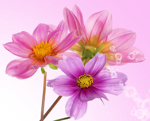 Similar image 8455965