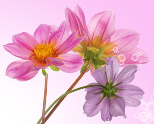 Similar image 8455966