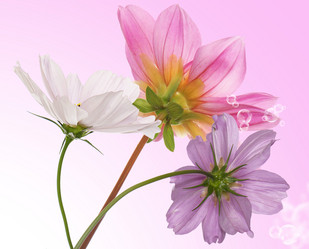 Similar image 8455967