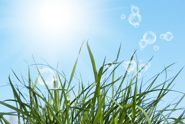 Similar image 8455970