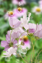 Similar image 8455972