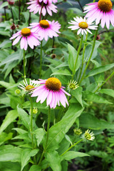 Similar image 8455973