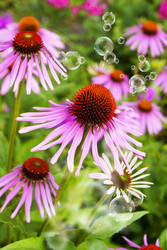 Similar image 8455974