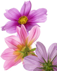 Similar image 8455976