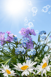 Similar image 8455978