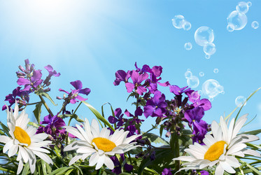 Similar image 8455979