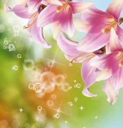 Similar image 8455981