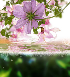 Similar image 8455983