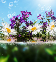 Similar image 8455984