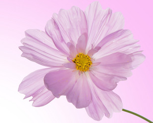 Similar image 8455986