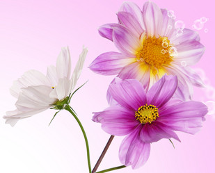 Similar image 8455987