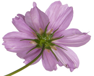 Similar image 8455989