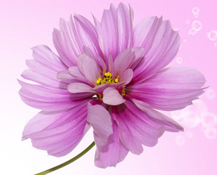 Similar image 8455991