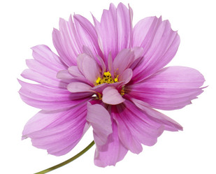 Similar image 8455992