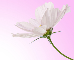 Similar image 8455994