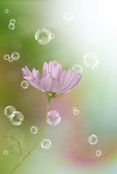 Similar image 8456006