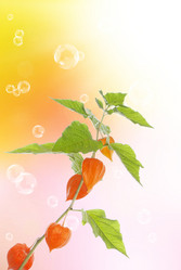 Similar image 8456007