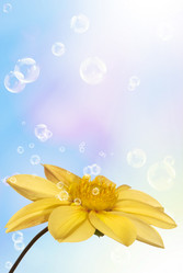 Similar image 8456008