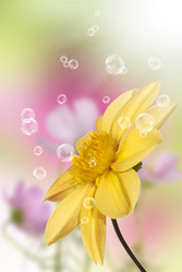 Similar image 8456009