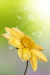 Similar image 8456010