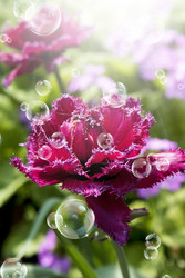 Similar image 8456012