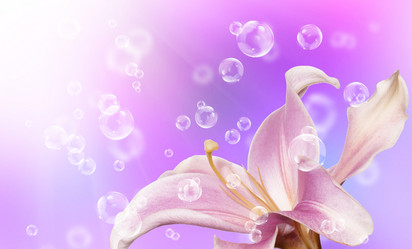 Similar image 8456014