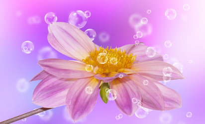 Similar image 8456015