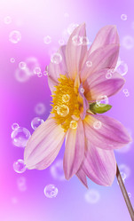 Similar image 8456016