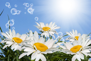 Similar image 8456021