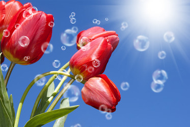 Similar image 8456024