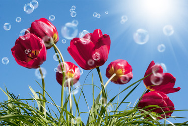 Similar image 8456025