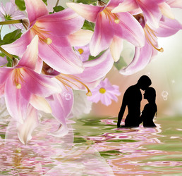 Similar image 8456065