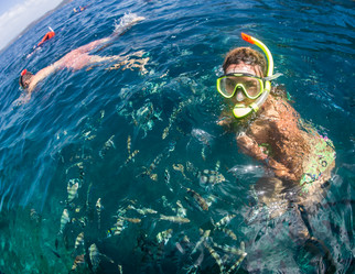 Similar image 8456241