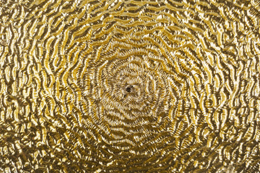 Similar image 8456325