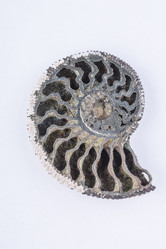 Similar image 8456326