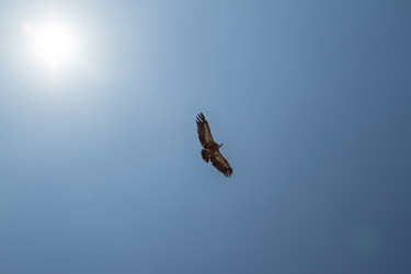 Similar image 8456475