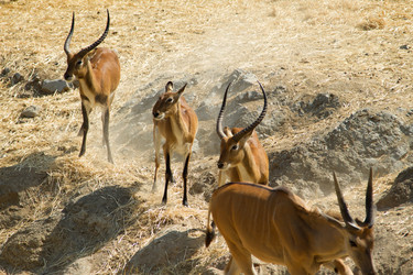 Similar image 8456476