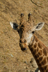 Similar image 8456478