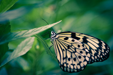 Similar image 8456480