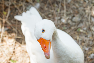 Similar image 8456481