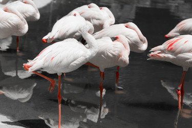 Similar image 8456482