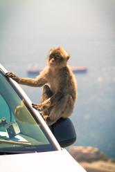 Similar image 8456485